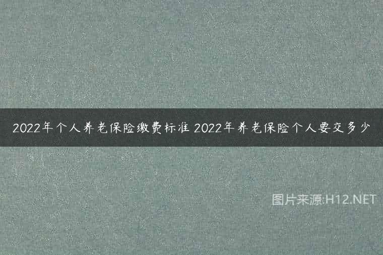 2022年个人养老保险缴费标准 2022年养老保险个人要交多少