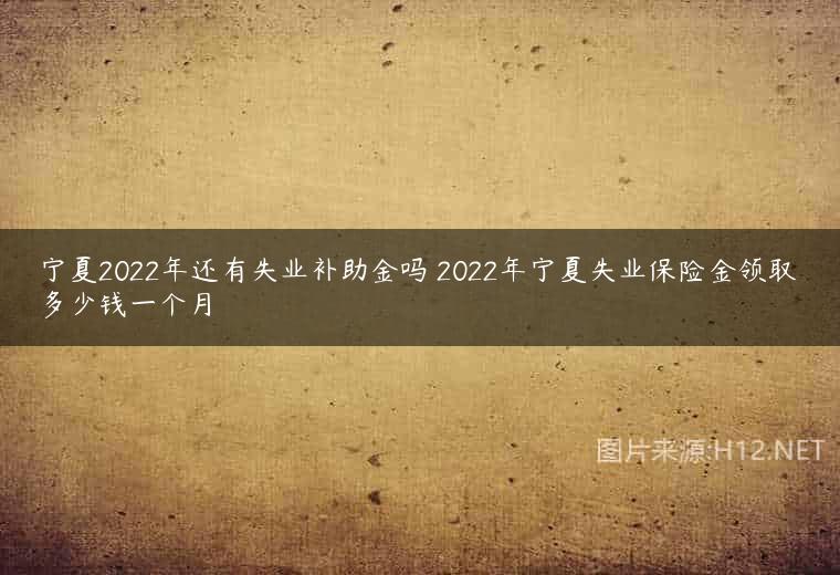 宁夏2022年还有失业补助金吗 2022年宁夏失业保险金领取多少钱一个月