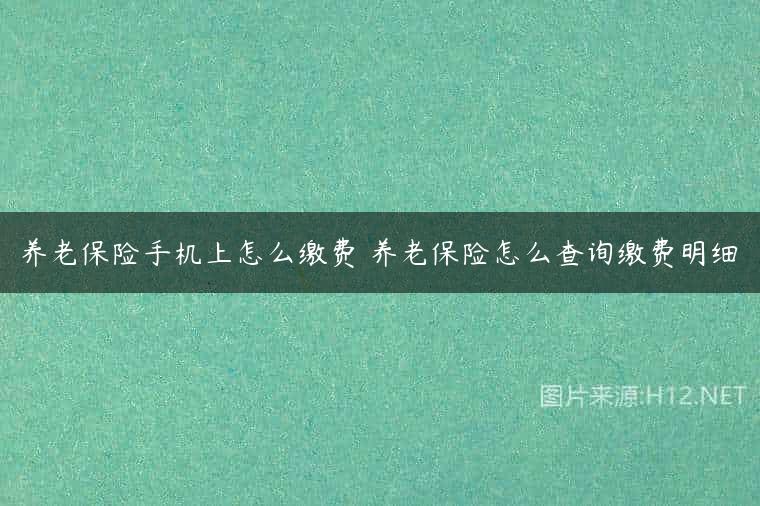 养老保险手机上怎么缴费 养老保险怎么查询缴费明细