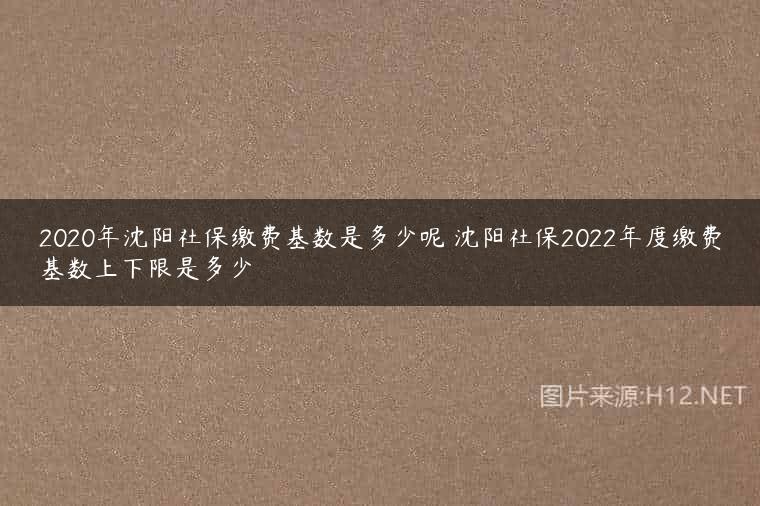 2020年沈阳社保缴费基数是多少呢 沈阳社保2022年度缴费基数上下限是多少
