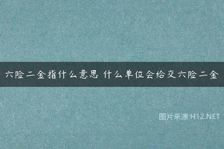 六险二金指什么意思 什么单位会给交六险二金