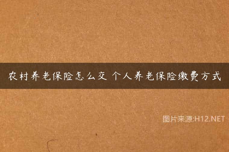 农村养老保险怎么交 个人养老保险缴费方式