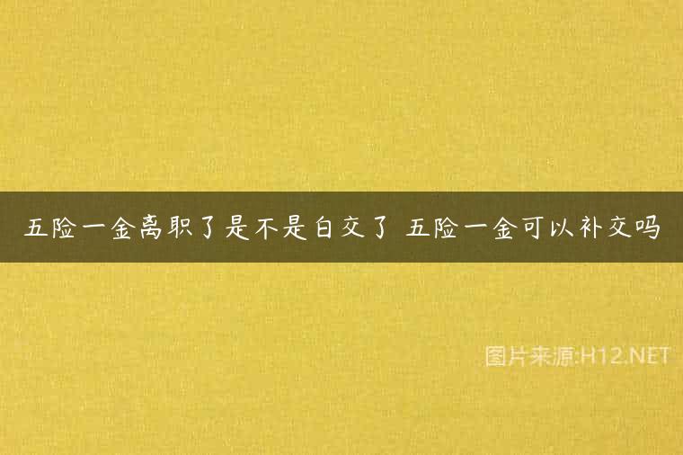 五险一金离职了是不是白交了 五险一金可以补交吗