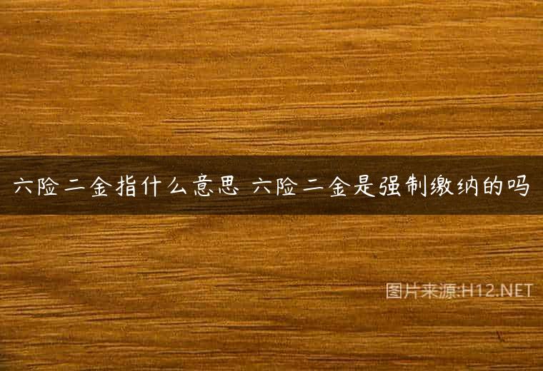 六险二金指什么意思 六险二金是强制缴纳的吗