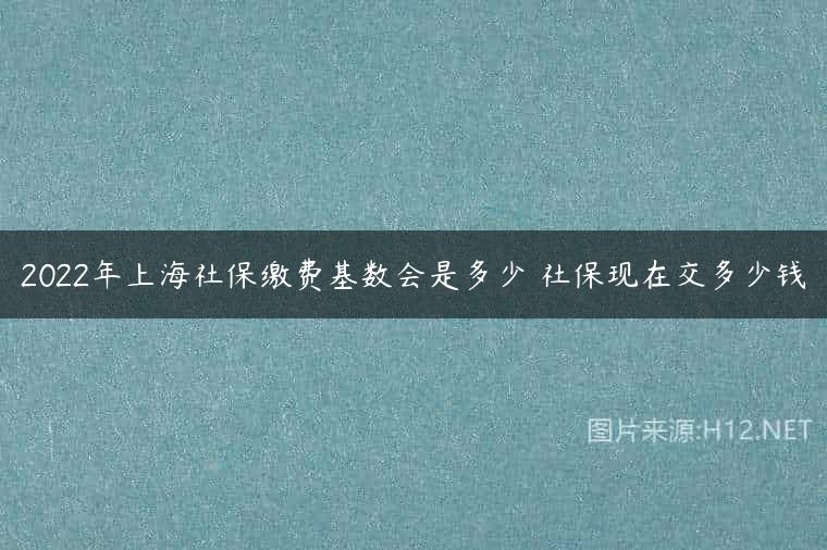 2022年上海社保缴费基数会是多少 社保现在交多少钱