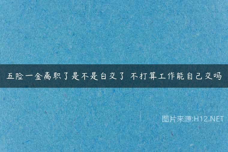 五险一金离职了是不是白交了 不打算工作能自己交吗