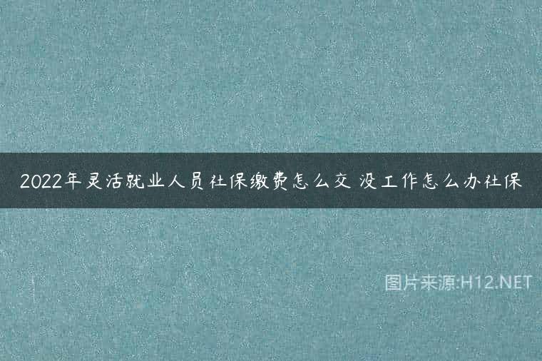 2022年灵活就业人员社保缴费怎么交 没工作怎么办社保