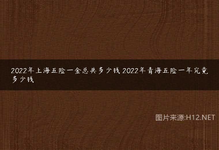 2022年上海五险一金总共多少钱 2022年青海五险一年究竟多少钱