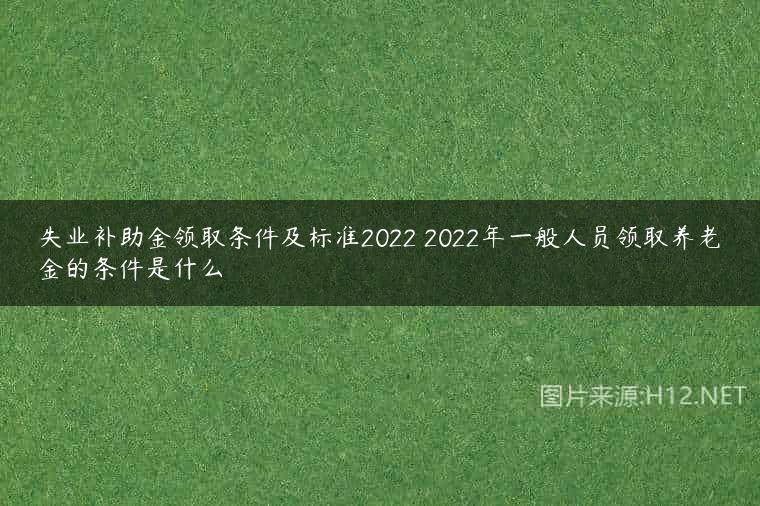失业补助金领取条件及标准2022 2022年一般人员领取养老金的条件是什么