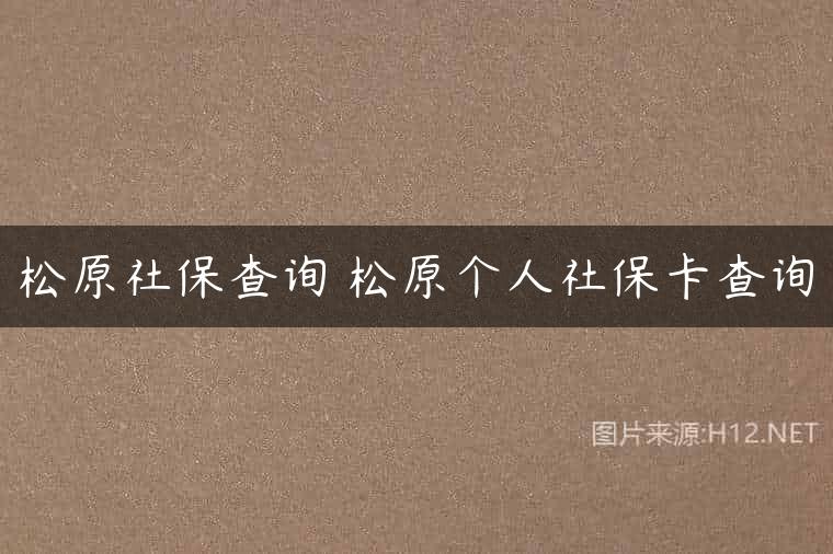松原社保查询 松原个人社保卡查询