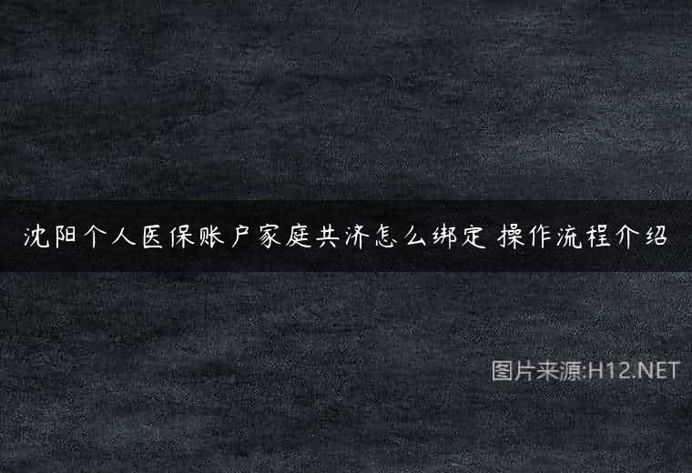 沈阳个人医保账户家庭共济怎么绑定 操作流程介绍