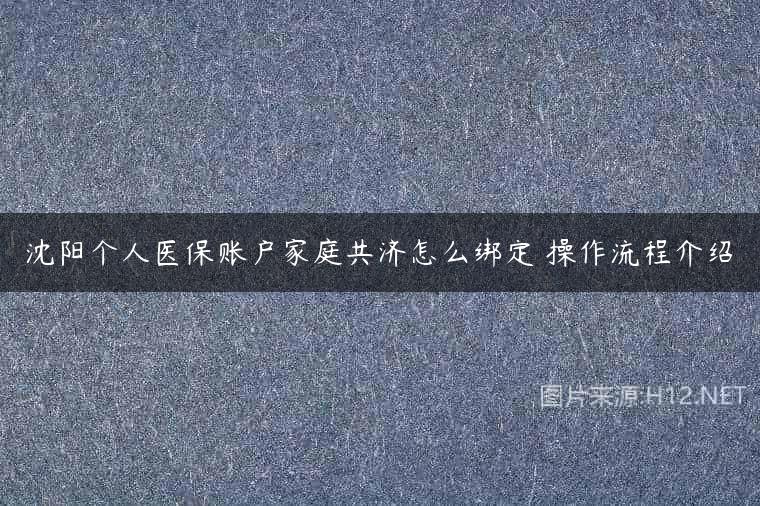 沈阳个人医保账户家庭共济怎么绑定 操作流程介绍