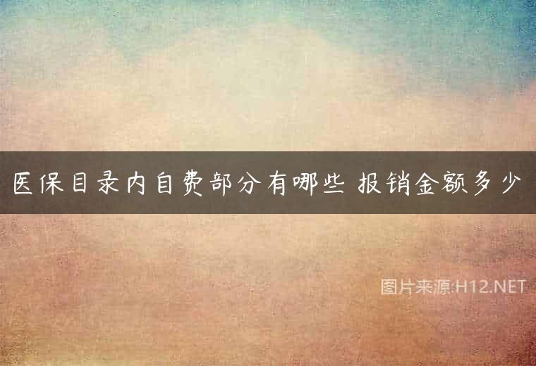 医保目录内自费部分有哪些 报销金额多少