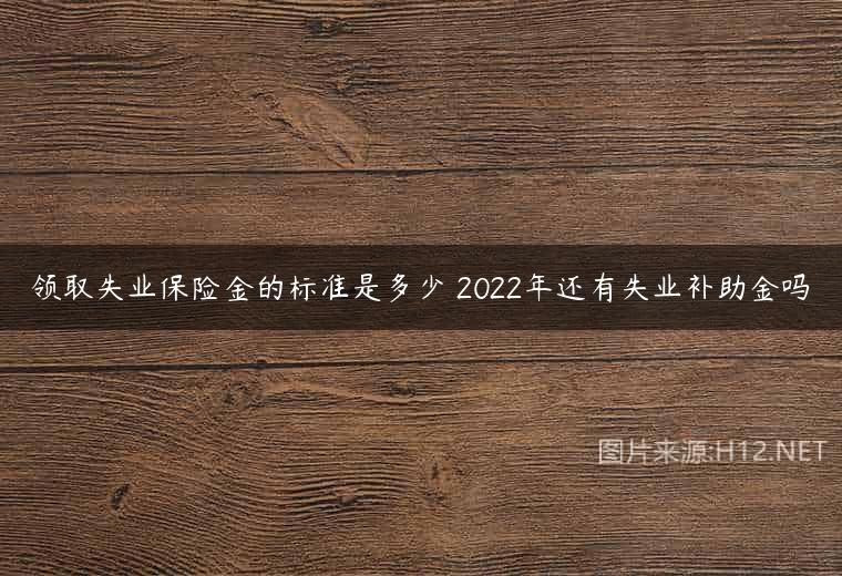 领取失业保险金的标准是多少 2022年还有失业补助金吗