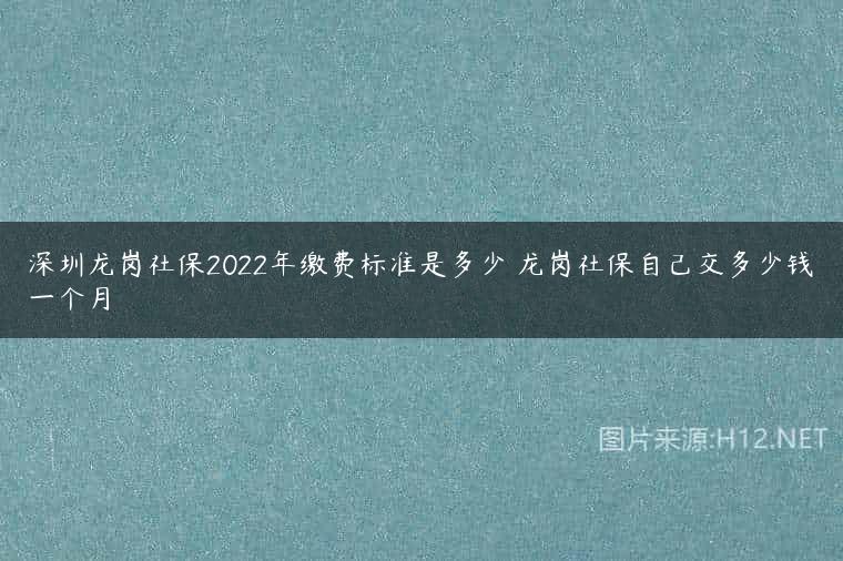 深圳龙岗社保2022年缴费标准是多少 龙岗社保自己交多少钱一个月