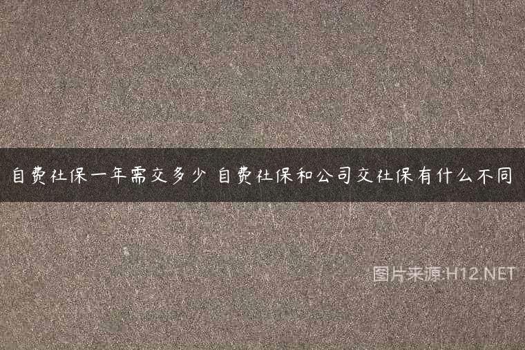 自费社保一年需交多少 自费社保和公司交社保有什么不同