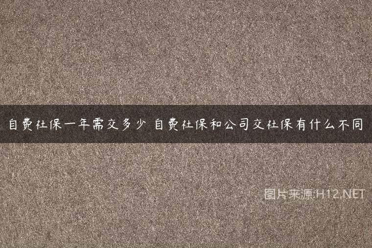 自费社保一年需交多少 自费社保和公司交社保有什么不同