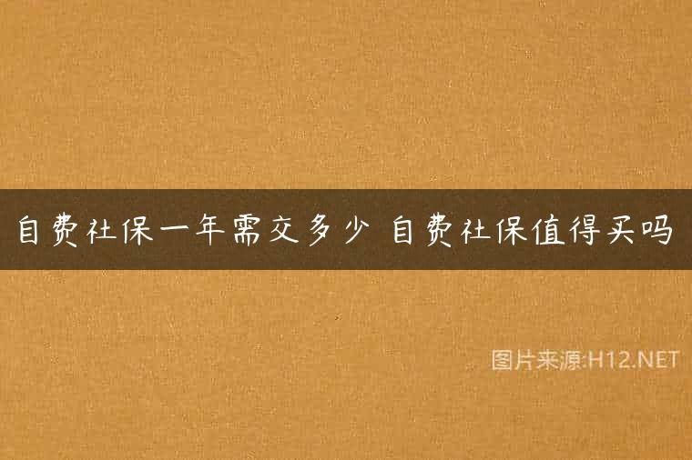 自费社保一年需交多少 自费社保值得买吗