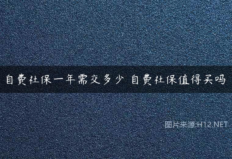 自费社保一年需交多少 自费社保值得买吗