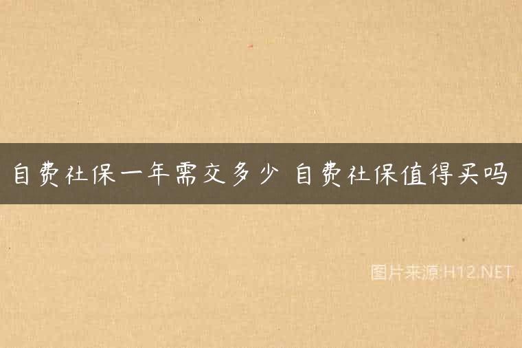自费社保一年需交多少 自费社保值得买吗