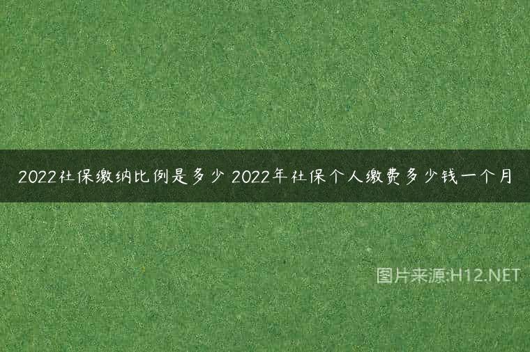 2022社保缴纳比例是多少 2022年社保个人缴费多少钱一个月