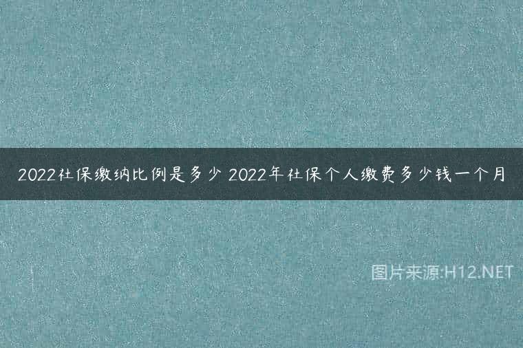 2022社保缴纳比例是多少 2022年社保个人缴费多少钱一个月