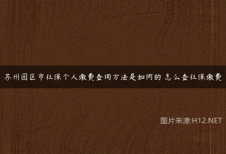 苏州园区市社保个人缴费查询方法是如何的 怎么查社保缴费