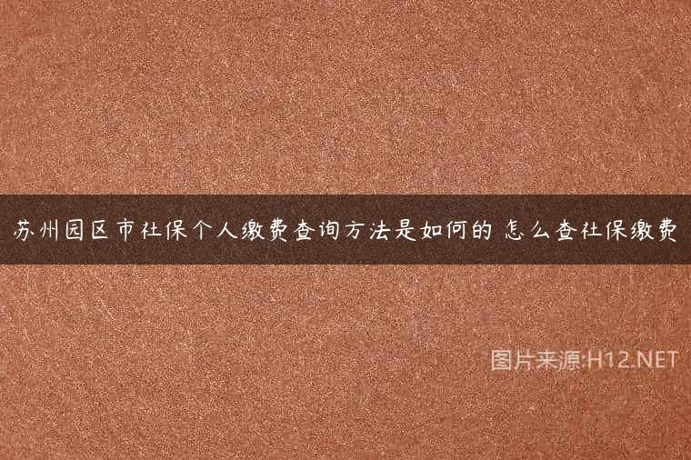 苏州园区市社保个人缴费查询方法是如何的 怎么查社保缴费