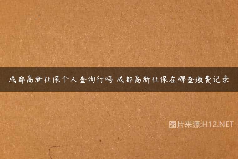 成都高新社保个人查询行吗 成都高新社保在哪查缴费记录