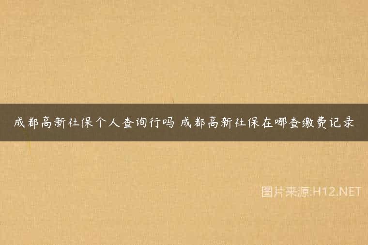 成都高新社保个人查询行吗 成都高新社保在哪查缴费记录
