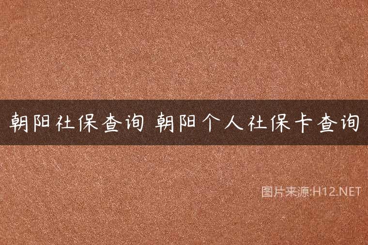 朝阳社保查询 朝阳个人社保卡查询