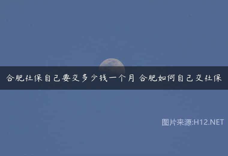 合肥社保自己要交多少钱一个月 合肥如何自己交社保