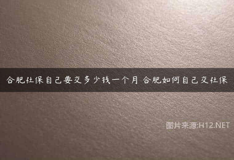 合肥社保自己要交多少钱一个月 合肥如何自己交社保