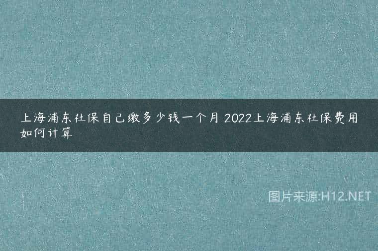 上海浦东社保自己缴多少钱一个月 2022上海浦东社保费用如何计算