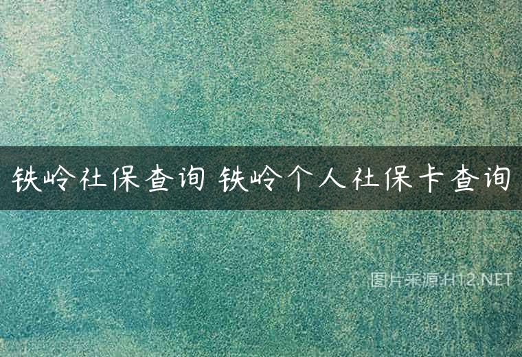 铁岭社保查询 铁岭个人社保卡查询