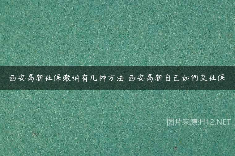 西安高新社保缴纳有几种方法 西安高新自己如何交社保