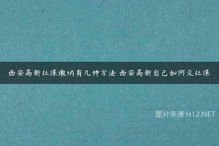 西安高新社保缴纳有几种方法 西安高新自己如何交社保