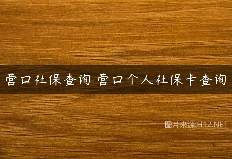 营口社保查询 营口个人社保卡查询