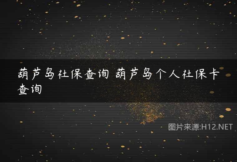 葫芦岛社保查询 葫芦岛个人社保卡查询