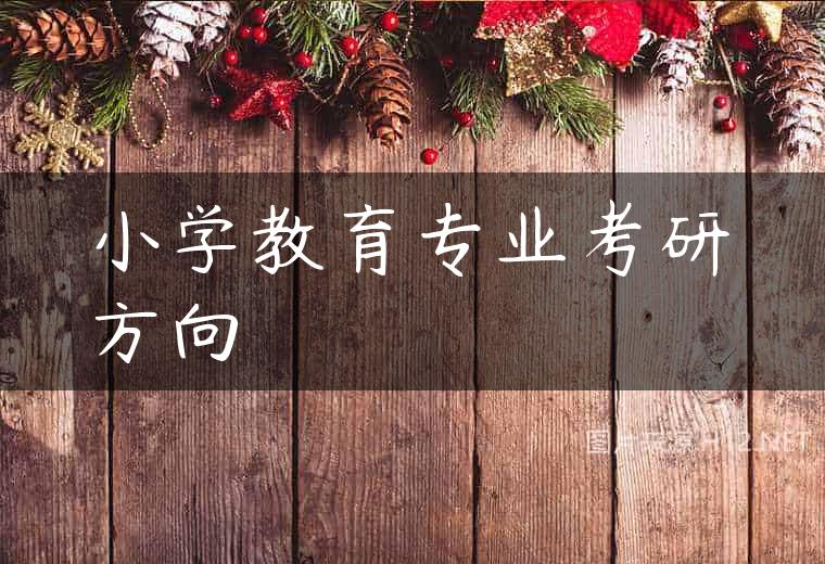 小学教育专业考研方向
