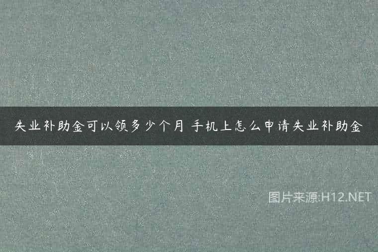 失业补助金可以领多少个月 手机上怎么申请失业补助金