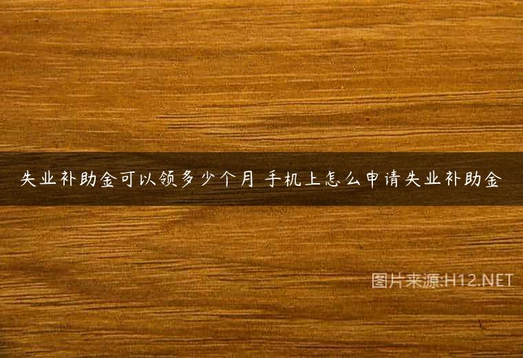 失业补助金可以领多少个月 手机上怎么申请失业补助金