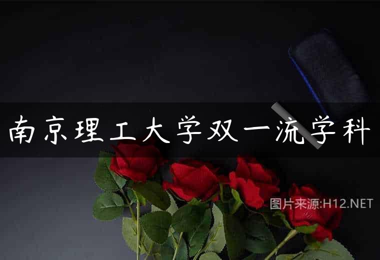 南京理工大学双一流学科