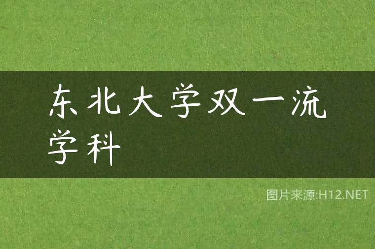 东北大学双一流学科