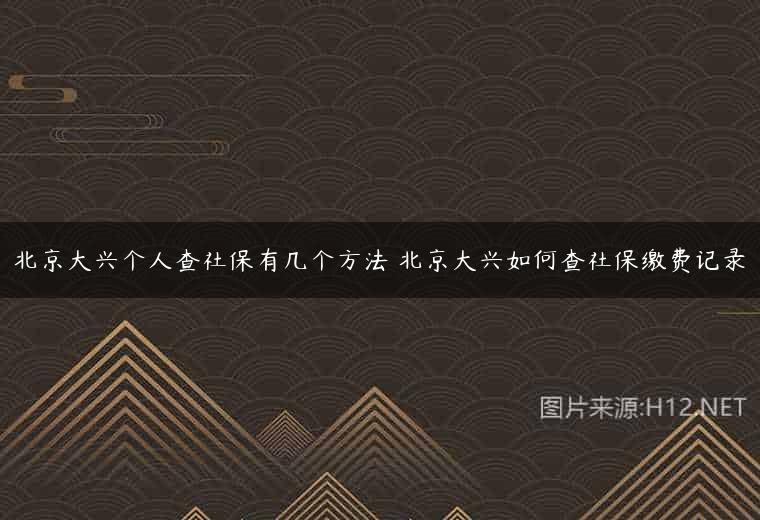 北京大兴个人查社保有几个方法 北京大兴如何查社保缴费记录