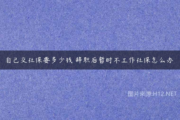 自己交社保要多少钱 辞职后暂时不工作社保怎么办