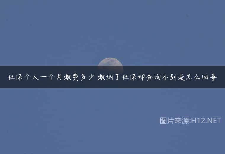 社保个人一个月缴费多少 缴纳了社保却查询不到是怎么回事