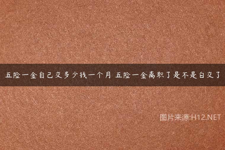 五险一金自己交多少钱一个月 五险一金离职了是不是白交了