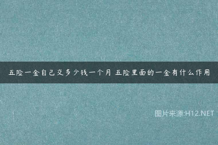 五险一金自己交多少钱一个月 五险里面的一金有什么作用