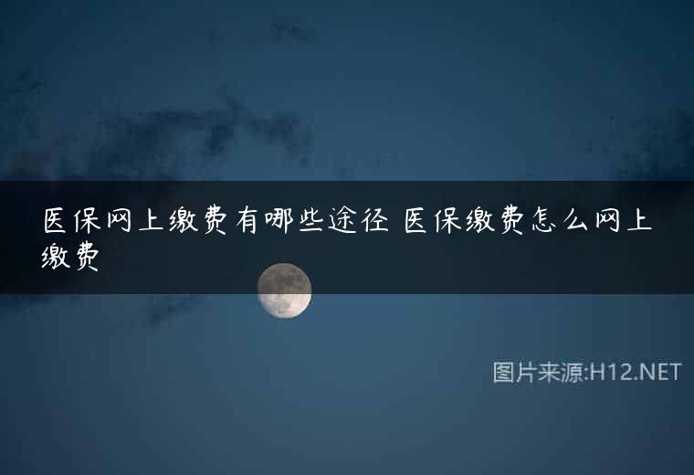 医保网上缴费有哪些途径 医保缴费怎么网上缴费